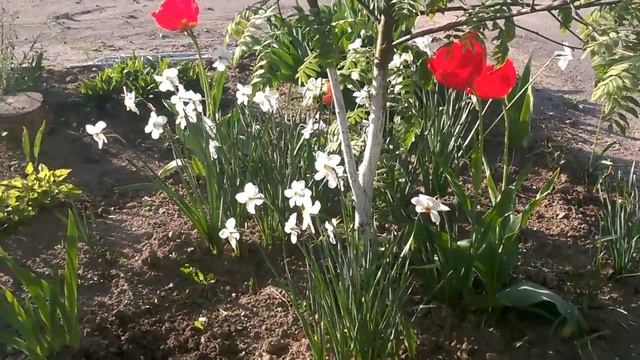 прелести весны смотреть онлайн
