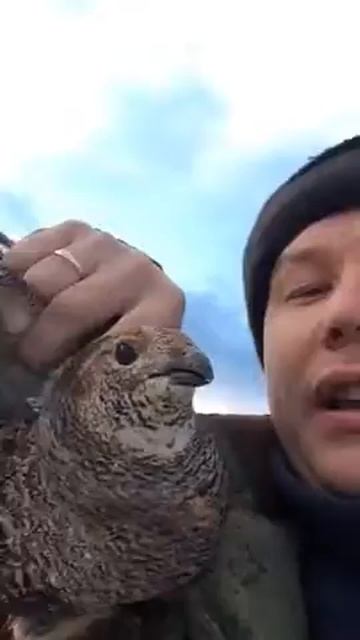 Охота осенью смотреть онлайн