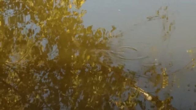 Рыбалка смотреть онлайн