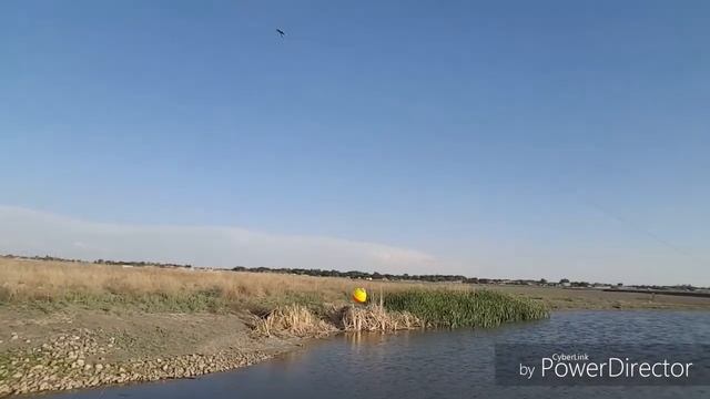 Bluegill Fishing and Saltwater Rig For Carp... смотреть онлайн