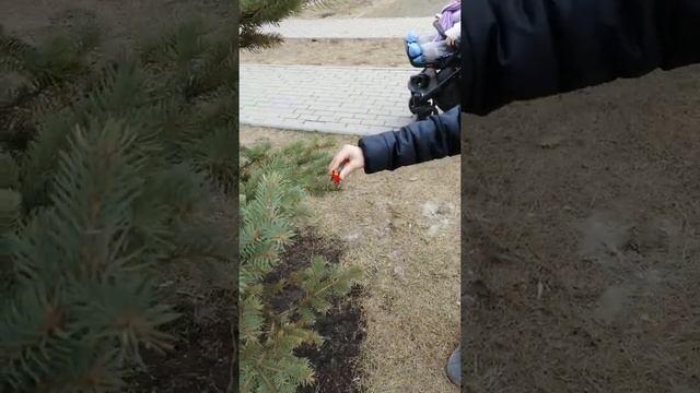 Марио лезет на горошек часть 2 смотреть онлайн