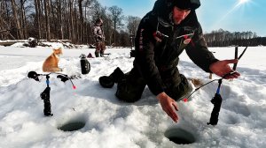 Зимняя рыбалка в тайге. Ловля ленка и хариуса на электронную удочку. Зимняя рыбалка в Сибири.