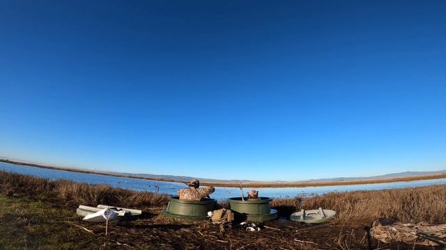 2 man limit at grizzly island (ft animator by bluebirdwaterfowl) смотреть онлайн