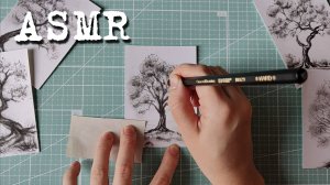 [ASMR] Рисунок угольным карандашом (5/5)