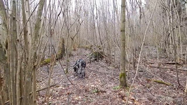 Овраг за деревней Барово Апрель 16 24 2014 года 18 смотреть онлайн