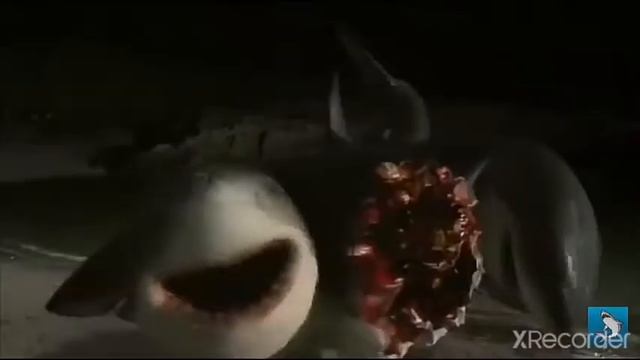 6-HEADED SHARK ATTACK / MUSIC VIDEO