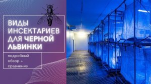 Технология разведения чёрной львинки (2 серия) «Виды инсектариев»