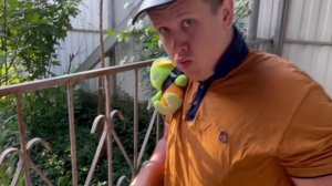 сёма  и лён я