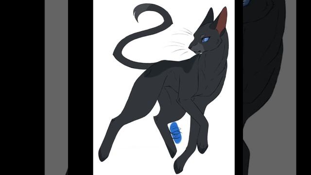 Грач - Эдит #котывоители смотреть онлайн