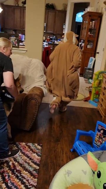 Rhys the Flying Squirrel! смотреть онлайн