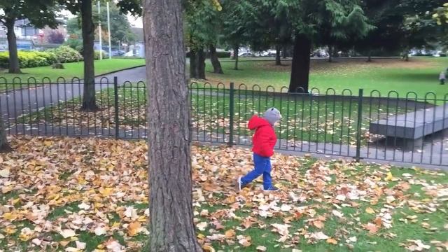Davidko so starkou v parku 2015 Limerick смотреть онлайн