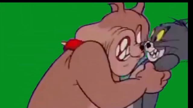 GREEN SCREEN CARTOON $TOM AND JERRY#cartoonflim #viralcartoons #cartoon смотреть онлайн