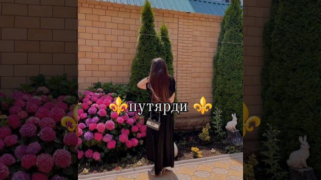новая песня 2025 прикольно 😁🤌 смотреть онлайн