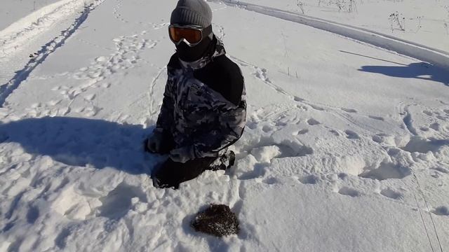Ёжик скушан! смотреть онлайн