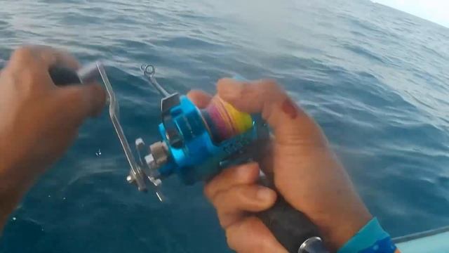 Summer has begun, let’s have some fun #fishing #offshore #oman #tuna #jigging смотреть онлайн