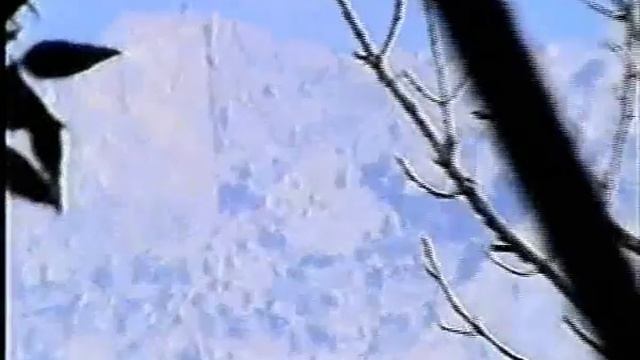 Толстой ЛН в Гаспре смотреть онлайн