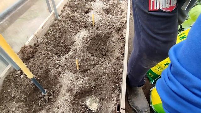 Сажаем помидоры в теплице смотреть онлайн