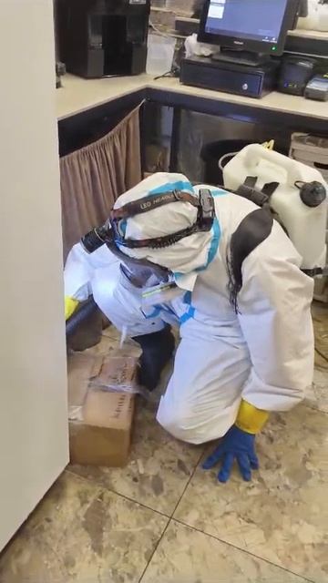 Видео работа