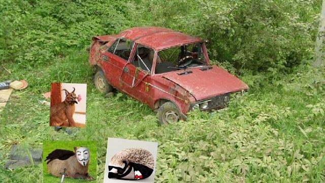 12 серия "Про Шлëпу незнайку и Капибару" смотреть онлайн