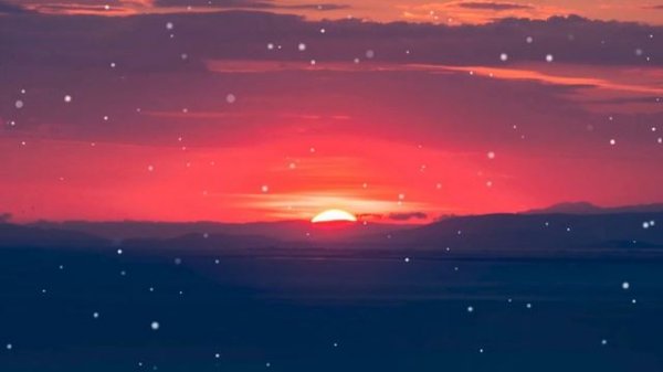 Sia - Snowman Lyrics