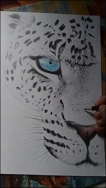 tiger sketch artwork #drawing #shorts #artwork #tigerart смотреть онлайн