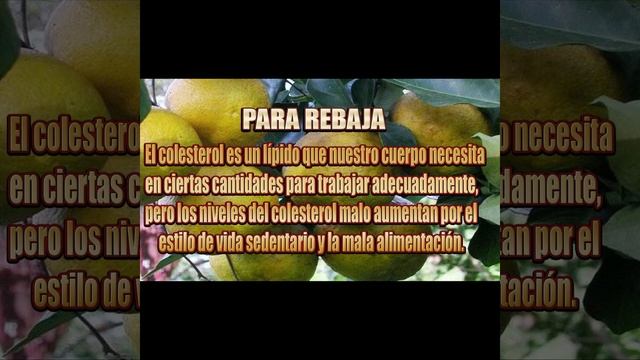 BENEFICIOS DEL CAFE AMARGO CON NARANJA AGRIA Part 3 смотреть онлайн