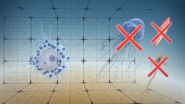 Scientists discover fish parasites that do not breathe: study смотреть онлайн
