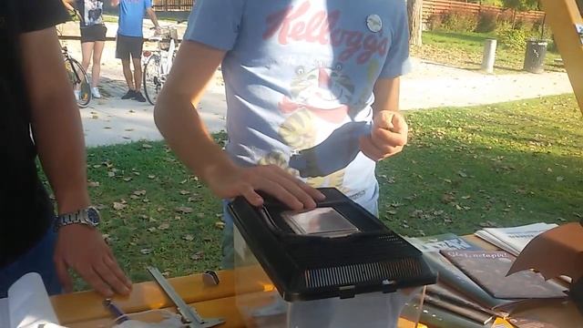 Словения#3сентября#день#летучей#мыши смотреть онлайн
