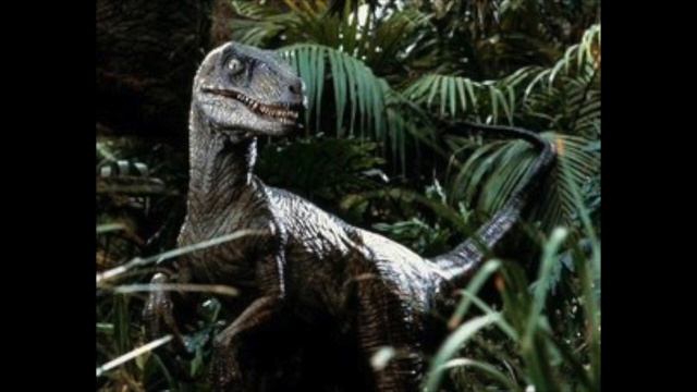 Jurassic Park Velociraptor Sound Effects