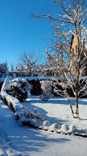 #shorts сказка 2025 "Морозко" смотреть онлайн