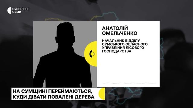 На Сумщині переймаються, куди дівати повалені дерева смотреть онлайн