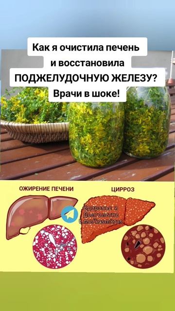 врачи в шоке. как я очистила печень и восстановила поджелудочную ЖЕЛЕЗУ? смотреть онлайн
