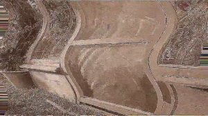 Аdvertising  Реклама Китикет Kitekat   Борис поймал пчелу In 4ormulator V4