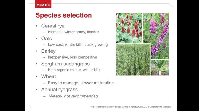 Cover Crop Species Selection смотреть онлайн