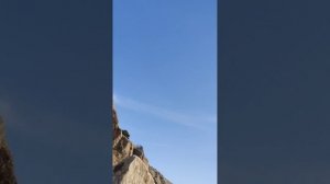 Пикник Египтянин караоке