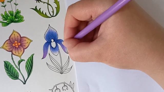 Deli | Pastelková abeceda | World of Flowers - J. Basford | 30 Days of Flowers 9. díl смотреть онлайн