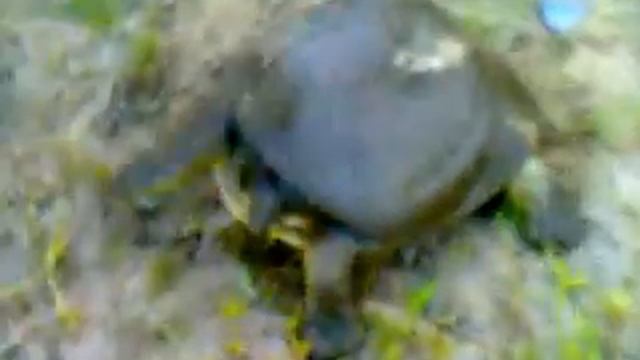 поехали за карасями смотреть онлайн