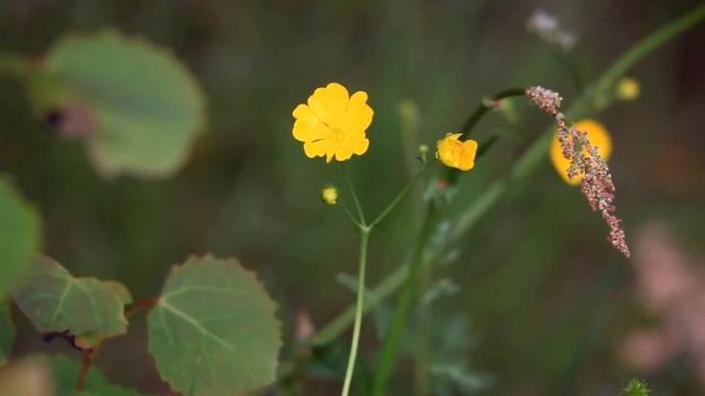 ADV 325 bareMinerals Brand Image Video - Group 6 смотреть онлайн