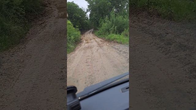 ГАЗ соболь 4wd 2023 года едет в тайге оцените с 1 до 10 я оцениваю 7 смотреть онлайн