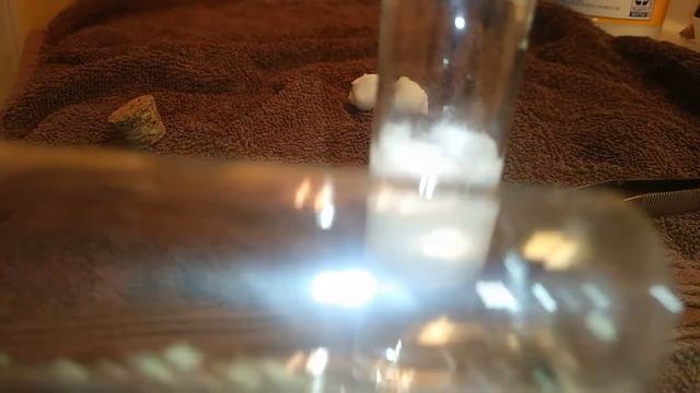 Queen Ant Test Tube Setup смотреть онлайн