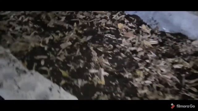 биогумус смотреть онлайн