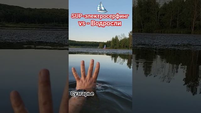 SUP-Электро виндсерфинг против кучи ВОДРОСЛЕЙ🌞 #sup #windsurfing #виндсерфинг #сузгарье смотреть онлайн