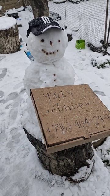 Новый курьер в чуду "Алиф" ☃️