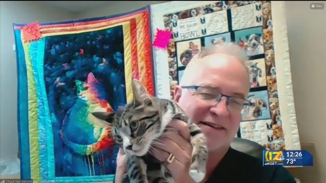 Pet of the Week: Lily смотреть онлайн