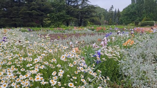 Цветущий Ботанический сад КФУ 🌸🌺🏵 смотреть онлайн