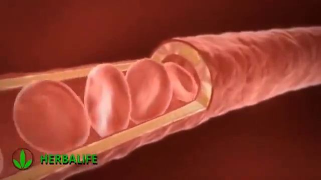 Душ изнутри ! смотреть онлайн