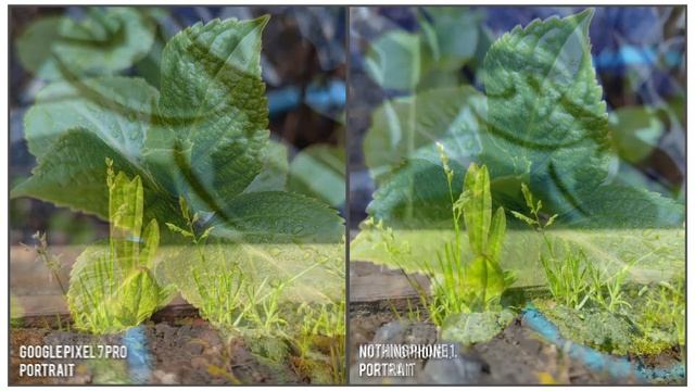 Nothing Phone 1. vs Google Pixel 7 Pro Camera Comparison | Night & Day Pics смотреть онлайн