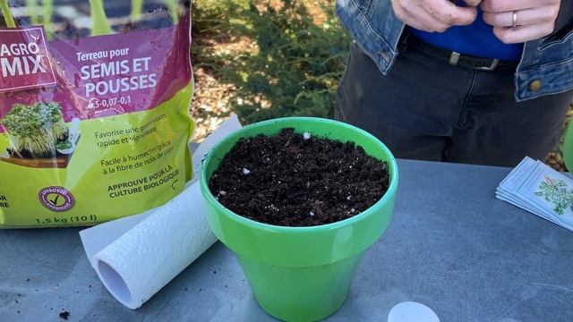 Planting Herbs Indoors Part 3: Parsley 🌱 смотреть онлайн