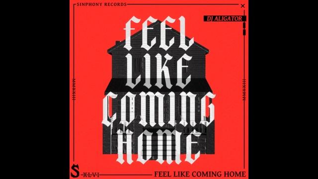 DJ Aligator Feel Like Coming Home смотреть онлайн
