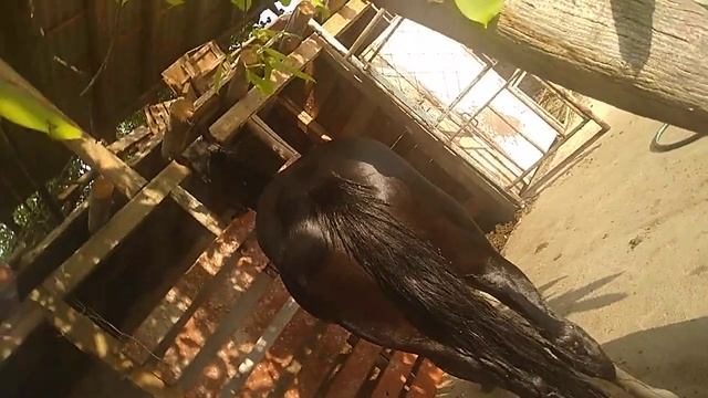 Гурза смотреть онлайн